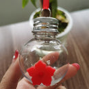 Bird Supplies Circular Shape Hummingbird Feeder Bird Feeder Lamp Bubbles