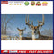 5D Full Round Drill Diamond Painting Kit Deer Snow House Decor for Adults