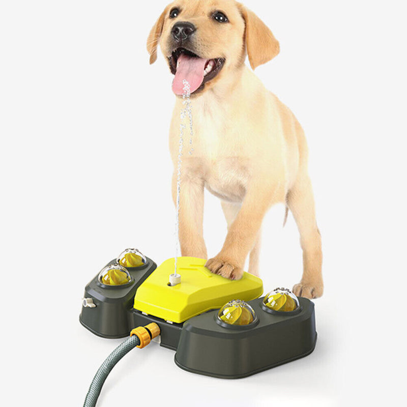 #A Summer Dog Water Sprinkler Outdoor Automatic Water Dispenser Drinking Fountai