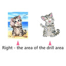 5D DIY Diamond Painting Cat Cross Stitch Embroidery Mosaic Kit Needlework Newly