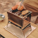 Mini Portable Camping Stove Lightweight Fire Wood Heater with Bag for Picnic BBQ