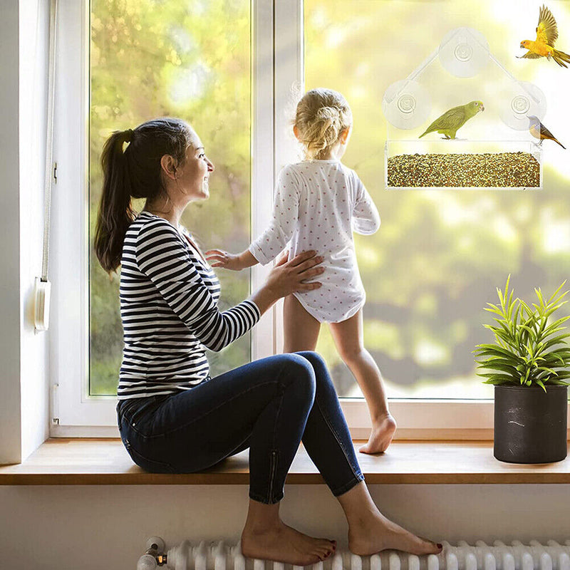 House Clear Window Viewing Bird Feeder Triangular Suction Cup Bird Feeder