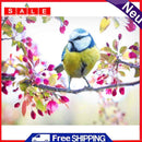 30x40cm No Frame Digital Coding Painting Hand Painted Canvas Oil Art Picture