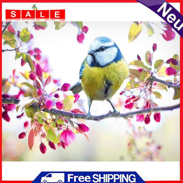 30x40cm No Frame Digital Coding Painting Hand Painted Canvas Oil Art Picture