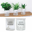 Flower Pot Self-watering Flowerpot Automatic Water Absorption Hydroponic