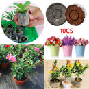 Garden Flower Planting Soil Block Nutrient Clod Stiff Peat Pellets Newly