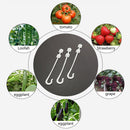 50pcs Plant Grape Vines Support Clips Trellis Fruit Cherry Tomato Ear Hook Newly