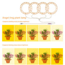 Angel Ring Plant Light Sunlight Phytolamp USB Nursery Lamp (One for Four) Newly