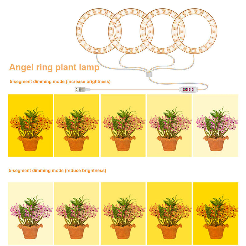 Angel Ring Plant Light Sunlight Phytolamp USB Nursery Lamp (One for Four) Newly