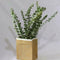 10X Air-dried Flower Eucalyptus Stems Branches Leaves DIY Bouquet Home X8G3 Y8O1