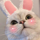 Cute Cat Headgear Bunny Drag Hat Cat Dog Headwear Costume PhotoProps F7X7