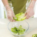 100pcs/bag Disposable Gloves One-off Plastic Gloves BBQ Transparent Gloves