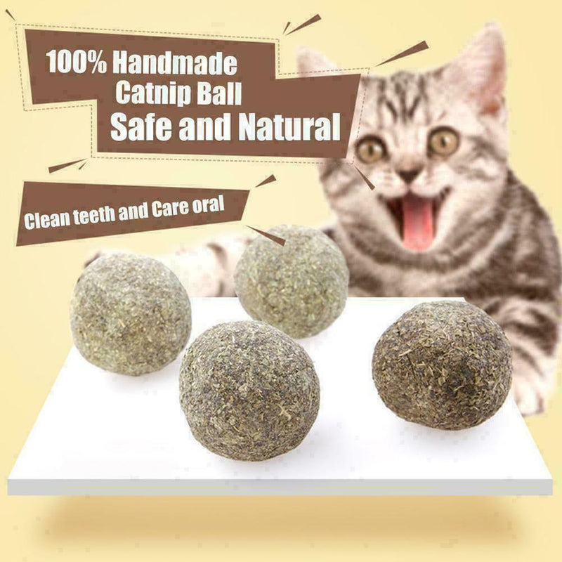 Cat Snack Catnip Ball Lick Nutrition Ball Help Digestion Q1I0 O2U2 H0D7