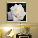 5D DIY Round Drill Diamond Painting White Rose Cross Stitch Embroidery Kit