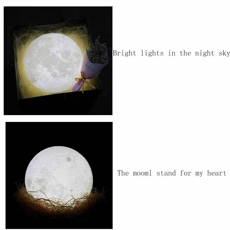 Decoration Indoor Ornament Indoor Lighting Luminaires LED Night Light Moon Lamp