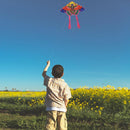90x50cm Bright Cloth Colorful Butterfly Kite Outdoor Foldable Kites (C) Newly