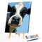 Oil Paint Cattle By Numbers Coloring Picture Digital