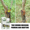 100ml Tree Wound Bonsai Cut Paste Smear Agent Pruning Compound Sealer Healing