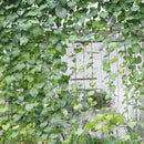 Garden Plant Climbing Nylon Trellis Net Grow Fence Home Gardening Accessories
