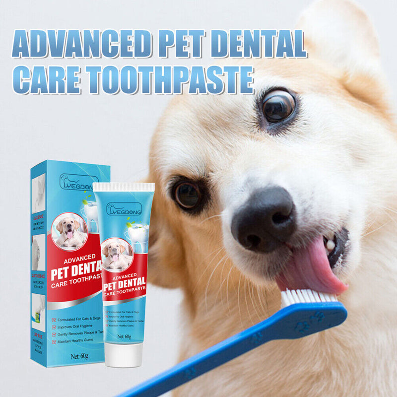 60g Cat Toothpaste Teeth Cleaning Puppy Kitten Enzymatic Toothpaste Pet Products