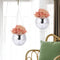 Decorative Plant Pots/Garden Plants with Hooks Chain for Gardening Enthusiast