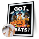 Halloween Pumpkin Dachshund Dog Oil Paint By Numbers Kit 40x50cm (B1601)