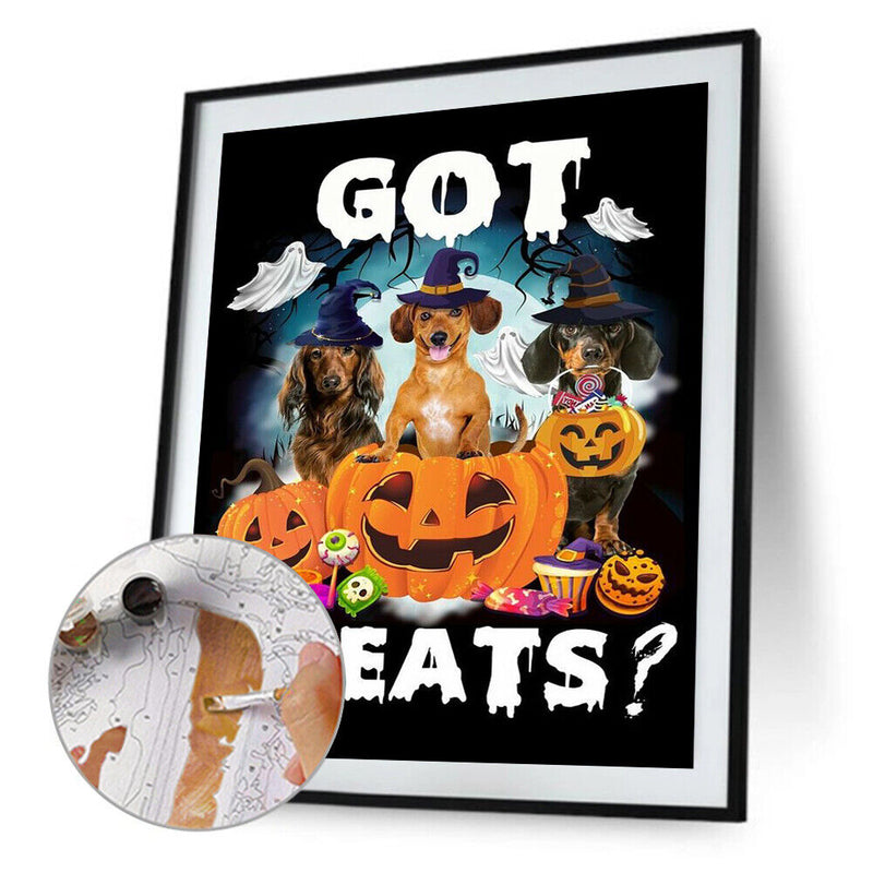 Halloween Pumpkin Dachshund Dog Oil Paint By Numbers Kit 40x50cm (B1601)