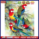 5D DIY Diamond Painting Full Round Drill Birds on Branch Wall Decor Rhinest