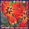 Flower Oil Paint By Numbers DIY Canvas Wall Art Picture Craft Home Decoration