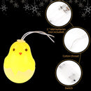 Easter Egg String Lights Battery 10 LEDs Duck Fairy Light for Kid Room (2m)