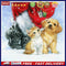 DIY Cat and Puppy Oil Paint by Numbers Kit Drawing on Canvas Pictures Home De