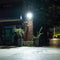 Solar LED Floodlight Waterproof Outdoor Garden Landscape Street Light (30W)