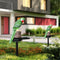 LED Solar Lights Parrot Waterproof Lawn Stakes Lamps Garden Decor (Green) Newly