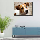 5D DIY Diamond Painting Kits Grey White Dog Full Round Drill Home Decoration Set
