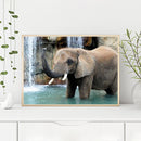 Wading Elephant Oil Paint By Numbers DIY Handpainted on Canvas Home Decorations