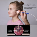 Ear Wax Cleaning Earpick Otoscope Ear Sticks Camera Endoscope (3.9mm Blue) Newly