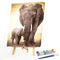 DIY Hand Painted Paint By Numbers Oil Canvas Pictures Elephant Kit for Room