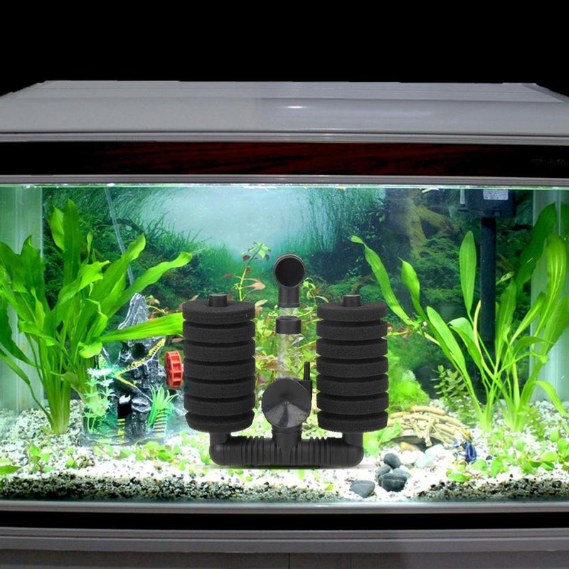 Practically Silent Sponge Filter Fish in the Aquarium Tank Biochemical Schwa