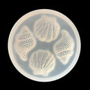 Shell Conch Mirror Epoxy Silicone Mold Chocolate Cake Dessert Baking Molds Newly