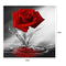 DIY 5D Diamond Painting Embroidery Flower Rose Cross Crafts Stitch Decor Newly