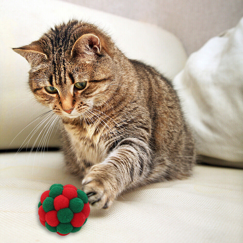 3pcs Pet Interactive Colorful Traning Bells Ball Kitten Play Chewing Bouncy T