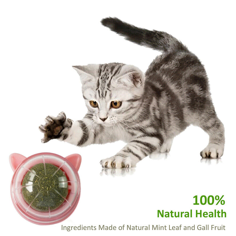 Catnip Ball Cat Toys Licking Teeth Chewing Pet Training Bite Balls (Pink)