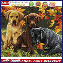 Animal Series Cross Stitch Kit 14CT Stamped Canvas Stitch Embroidery Needlewo