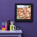 5D DIY Diamond Painting Kits Full Square Drill Cute Pig Mosaic Picture (F483)