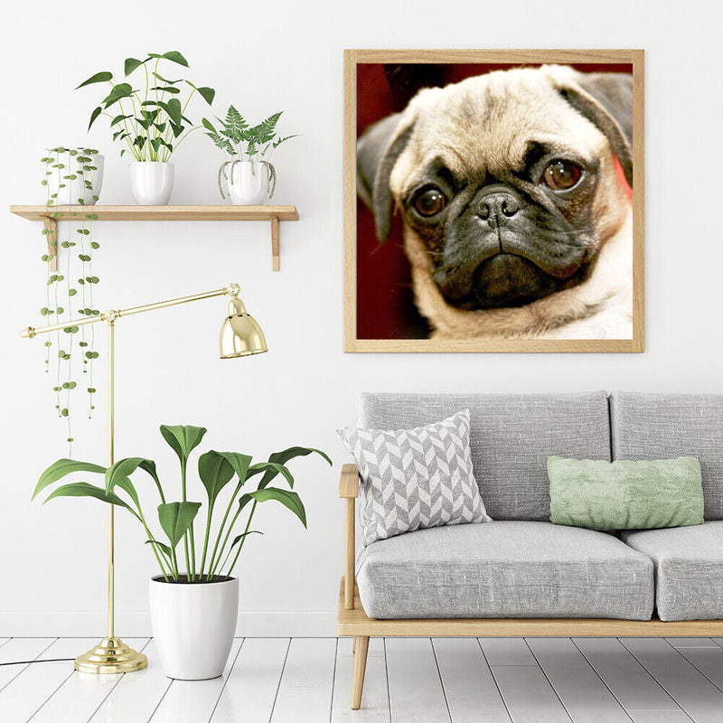 Canvas Painted Oil Paint By Numbers Dog Animal DIY Wall Art Modern Bedroom Decor
