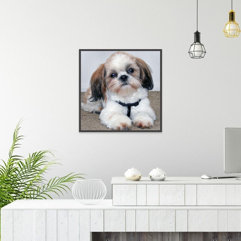 5D DIY Full Drill Diamond Painting Sad Puppy Cross Stitch Embroidery Rhinestones