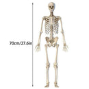 Halloween Props Skeleton Hanging Prop Haunted House Decor 75*20CM Haunted X0G4