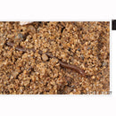 7.5cm Bass Bream Trout bloodworm Worm Red Baits  Fishing Lure EarthWorm