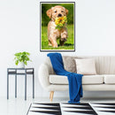 5D DIY Full Drill Diamond Painting Dog Embroidery Mosaic Craft Kits Home Decor