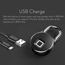 Tuya Biometric Fingerprint Password, Keyless Padlock for Ko
